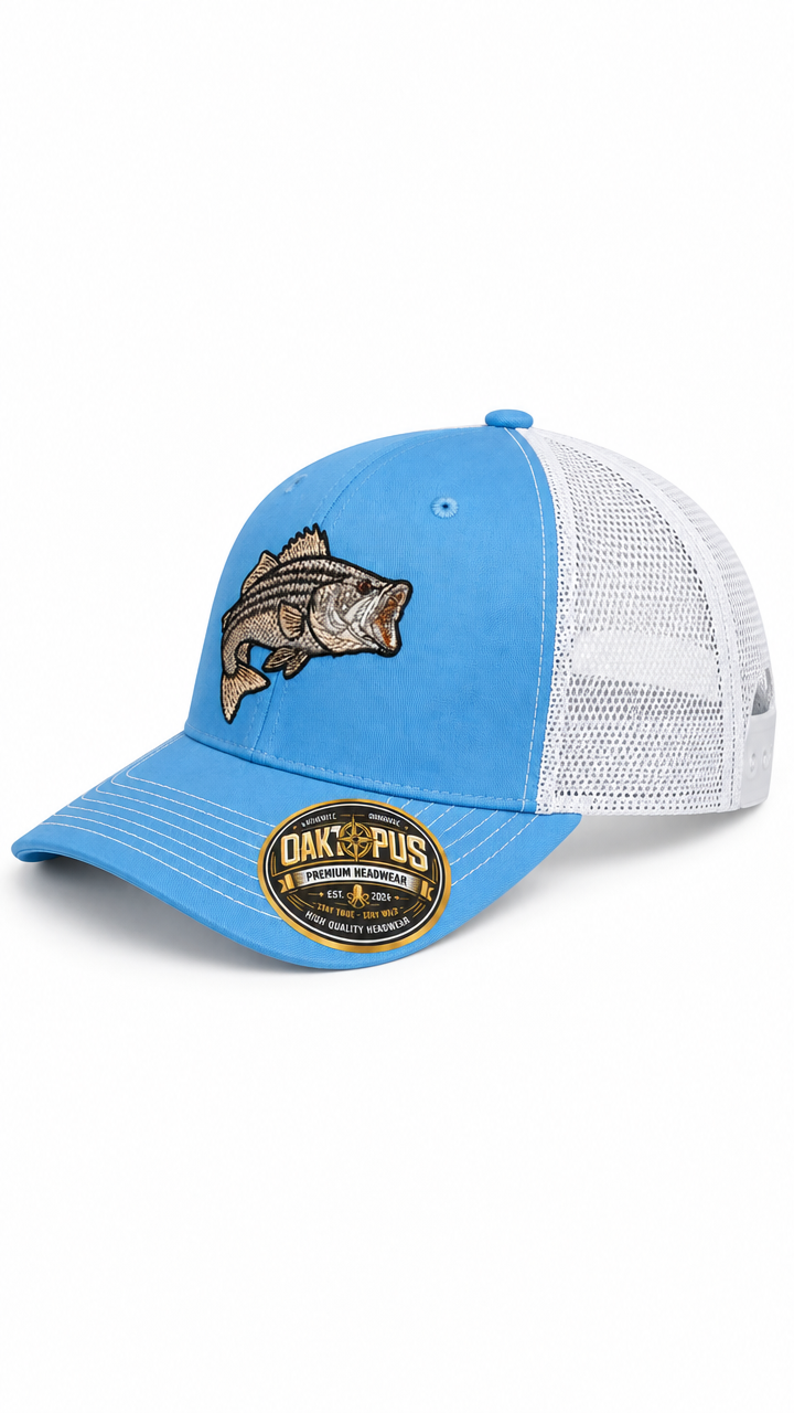 Striped Cap — Sample 2
