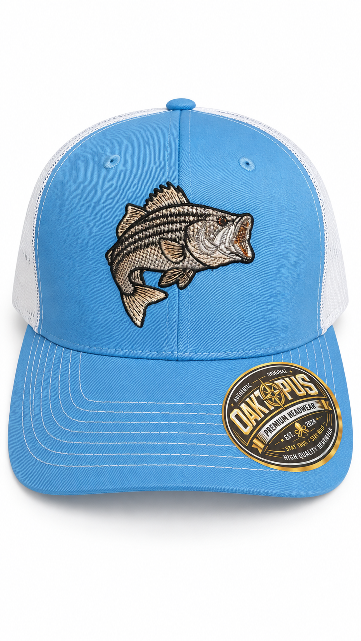 Striped Cap — Sample 3